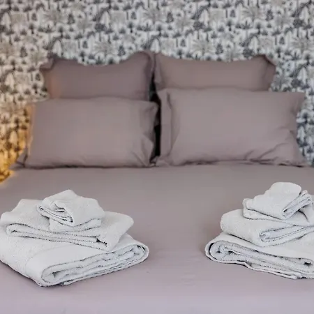 N3 La Jungle De Montaudry - Terrasse - Parking Apartment Albi