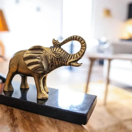 Apartment N3 La Jungle De Montaudry - Terrasse - Parking Albi