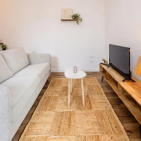 N3 La Jungle De Montaudry - Terrasse - Parking Albi